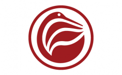 patrick cicognani logo