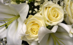 les fleurs du molard