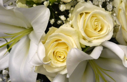 les fleurs du molard