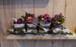 les fleurs du molard