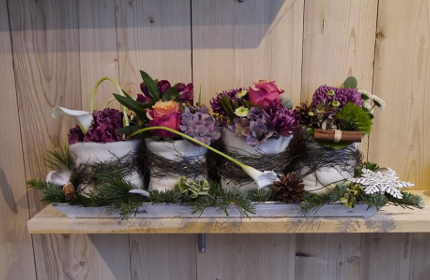 les fleurs du molard