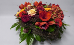 les fleurs du molard 08